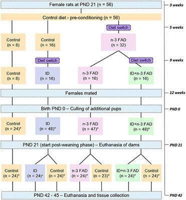 Effects and Reversibility of Pre- and Post-natal Iron and Omega-3 Fatty Acid Deficiency, Alone and in Combination, on Bone Development in Rats